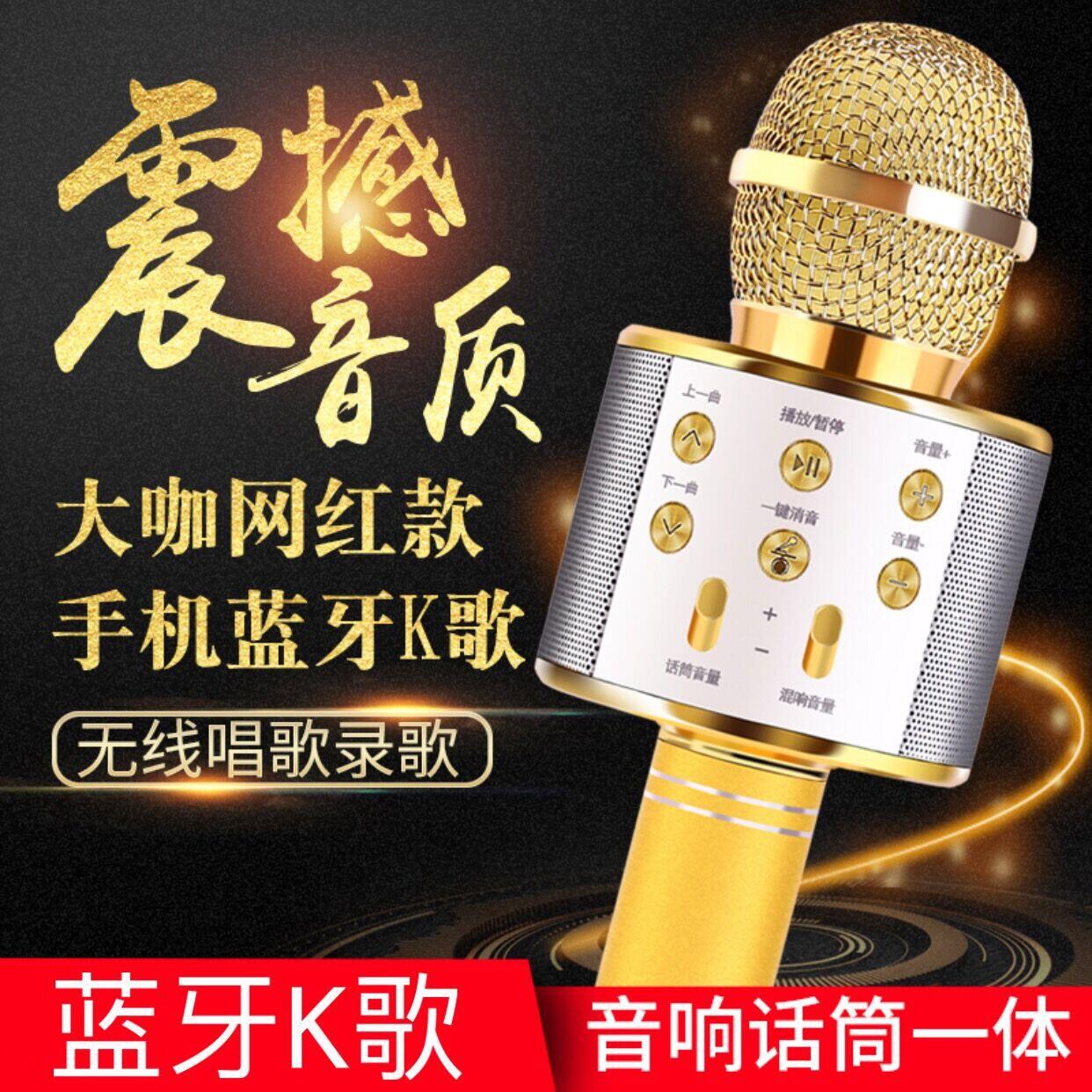 MICROFONO WS-858 6